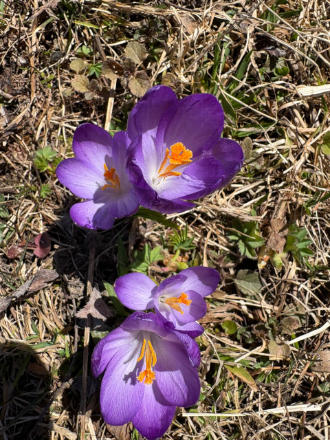 042